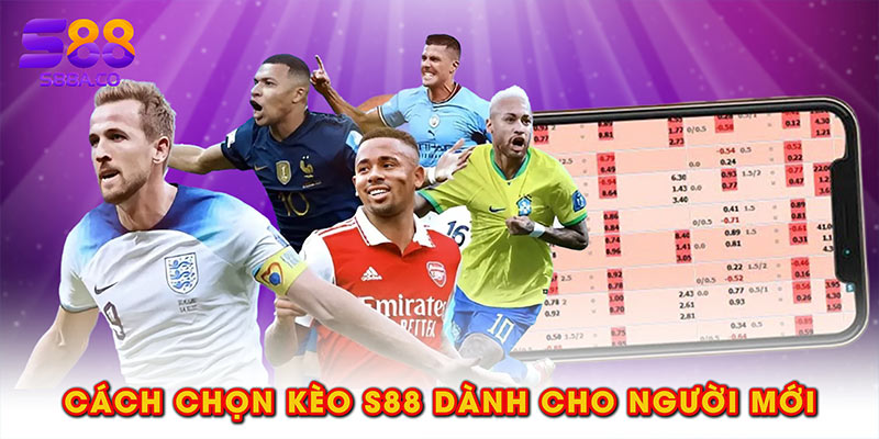 Cách chọn kèo S88 dành cho người mới