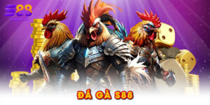 Đá gà S88