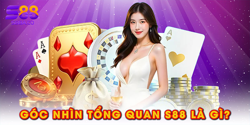 Góc nhìn tổng quan S88 là gì?
