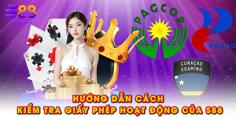 Hướng dẫn cách kiểm tra giấy phép hoạt động của S88