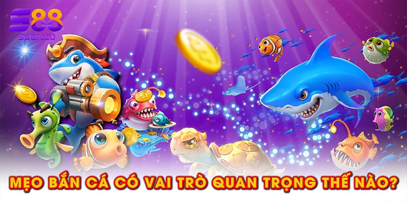 Các mẹo bắn cá có vai trò quan trọng thế nào?