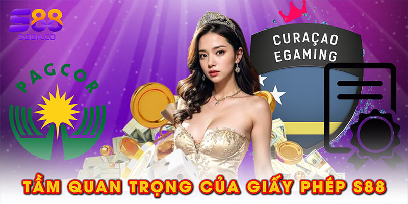 Tầm quan trọng của giấy phép S88