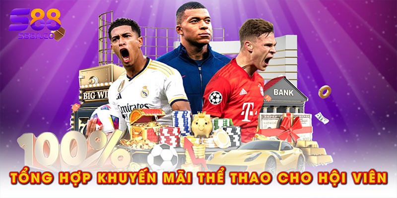 Tổng hợp khuyến mãi thể thao cho hội viên