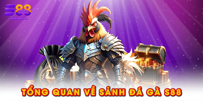 Tổng quan về sảnh đá gà S88